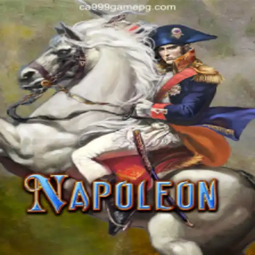 Exploring the World of Napoleon Card Game